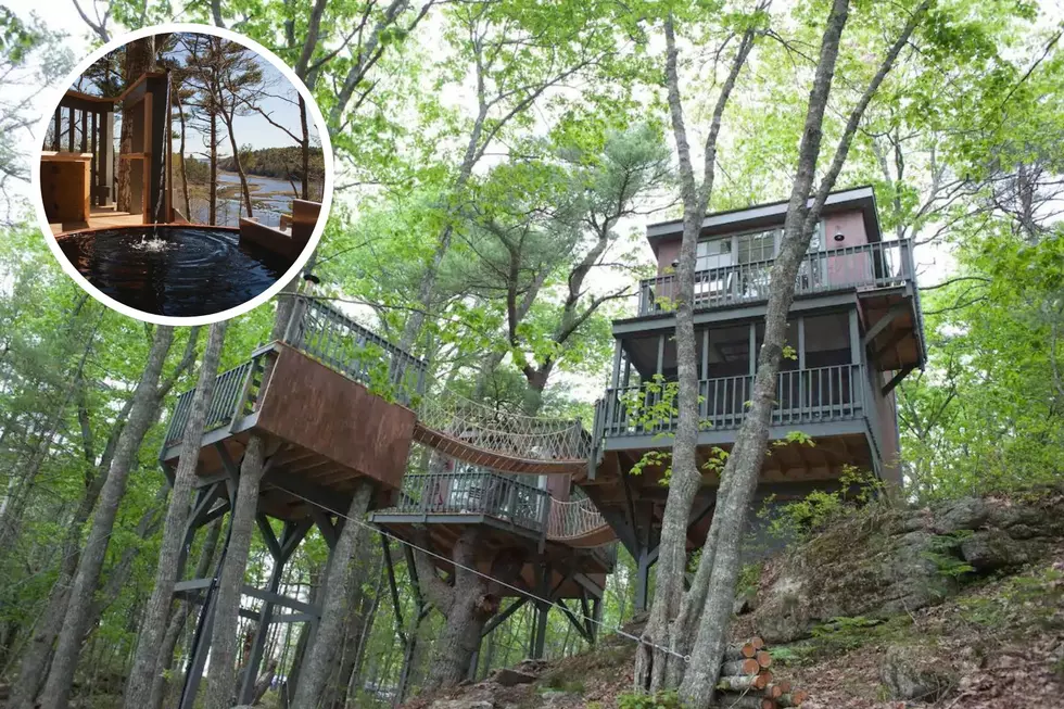 Do You Want To Stay Overnight in A Tree House Exactly like The Swiss Family Robinson?