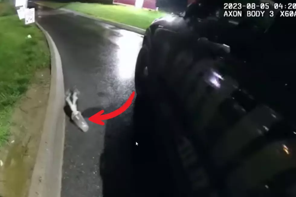 Watch – Old Town Police Officer Removes 2 Cups from Skunk’s Head
