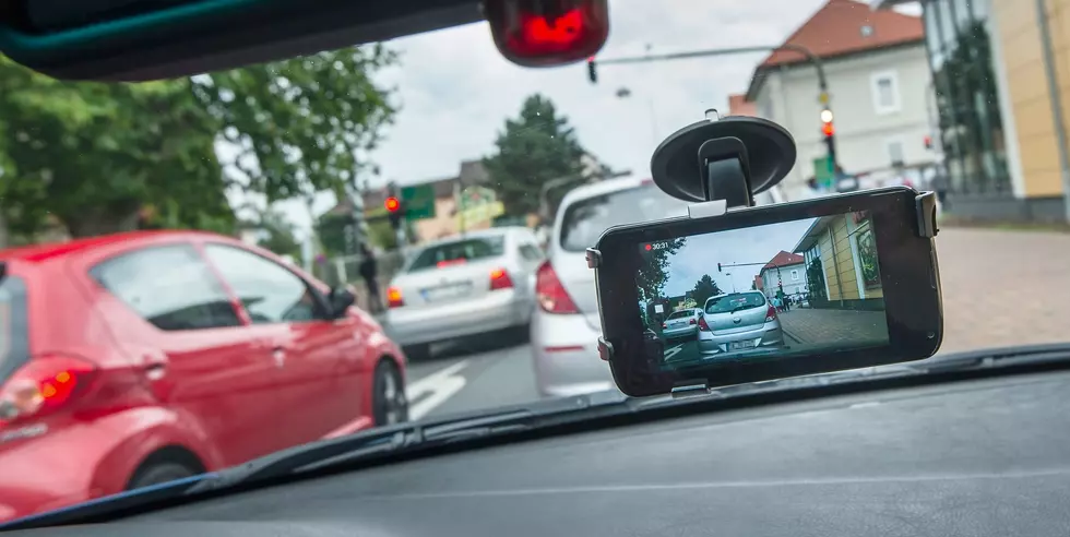 These Special License Plates Are Popping Up All Over Maine